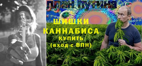 молекула духа Балахна