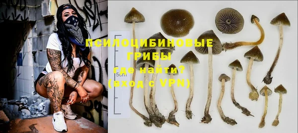 молекула духа Балахна